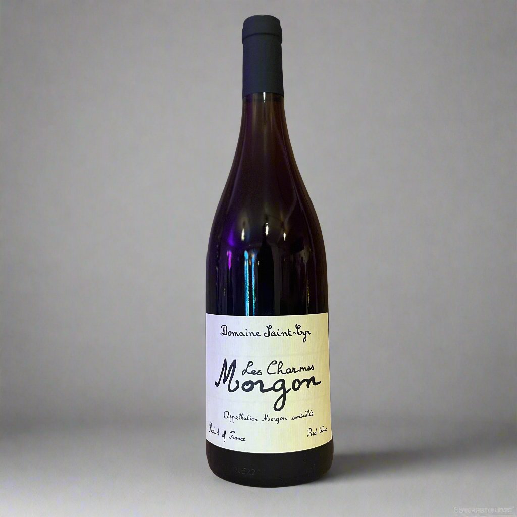 Morgon ‘Les Charmes’  2020 | Domaine de Saint Cyr